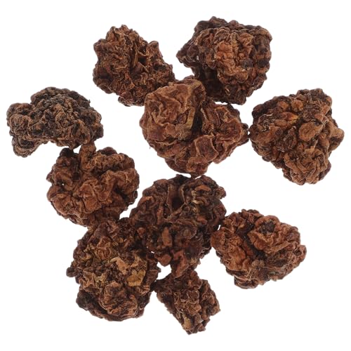 POPETPOP 10stücke Kauspielzeug Für Katzen Kauball Aus Natürlichen Materialien Beißball Zum Spielen Und Kauen Hergestellt Für Haustier Katze Zum Knabbern Und Greifen POPETPOP 10stücke Kauspielzeug Für Katzen Kauball Aus Natürlichen Materialien Beißball Zum Spielen Und Kauen Hergestellt Für Haustier Katze Zum Knabbern Und Greifen von POPETPOP