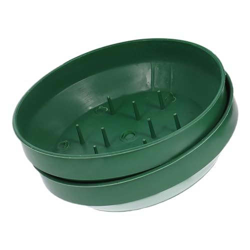 POPETPOP 2 Stück Floral Foam Tray Kunststoff Steckschwamm Blumensteckschaum Wiederverwendbar für Hochzeiten Partys Blumenarrangements Dekoration Pin Schaumstoffplatte POPETPOP 2 Stück Floral Foam Tray Kunststoff Steckschwamm Blumensteckschaum Wiederverwendbar für Hochzeiten Partys Blumenarrangements Dekoration Pin Schaumstoffplatte von POPETPOP