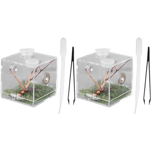 POPETPOP Acryl Reptilien Zuchtbox, 2 Stücke Springspinne Fütterungsbox, Transparentes Spinnen Terrarium Mit Pipette & Zange von POPETPOP