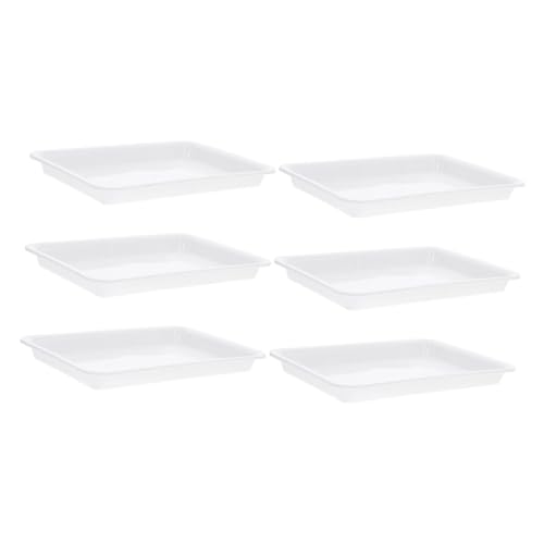 POPETPOP 6 Teiliges Blumentopftablett Trog Pflanzen Wasserauffangschale Bonsai Garten Blumentöpfe Großes Pflanztablett Für Den Innenbereich Fensterbank Pflanzschale Untertasse Für von POPETPOP