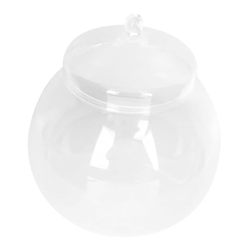 POPETPOP Fisch Tank Mit Kreativen Moos Landschaftsdesign Dekorativer Desktop-Aquarium Für Büro Und Zuhause Für Betta-Fische Und Pflanzen Langlebiges Mit Abdeckung POPETPOP Fisch Tank Mit Kreativen Moos Landschaftsdesign Dekorativer Desktop-Aquarium Für Büro Und Zuhause Für Betta-Fische Und Pflanzen Langlebiges Mit Abdeckung von POPETPOP