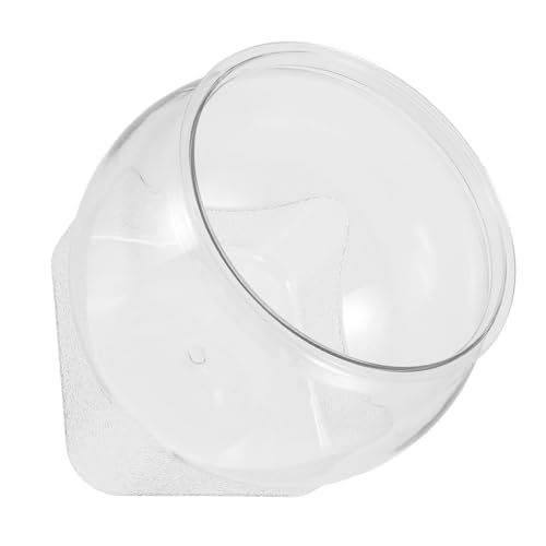 POPETPOP Einfacher Hydroponik -fischtank Kleine Fischzuchtschüssel Desktop -zierfischtank Lebender Fischbehälter Kleiner Fischtank Deskaquarium Für Büro Fischglas Das Haustier Transparent von POPETPOP