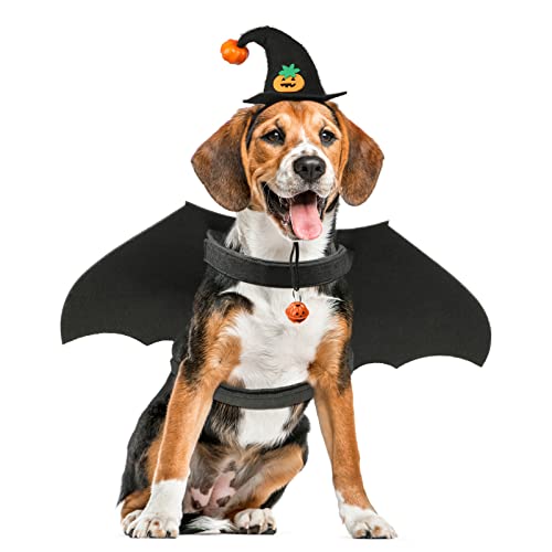 POPETPOP Hundefledermaus Kostüm Hund Fledermausflügel Hexenhut mit Kürbisglocke Halloween Kostüm Hund Katze von POPETPOP