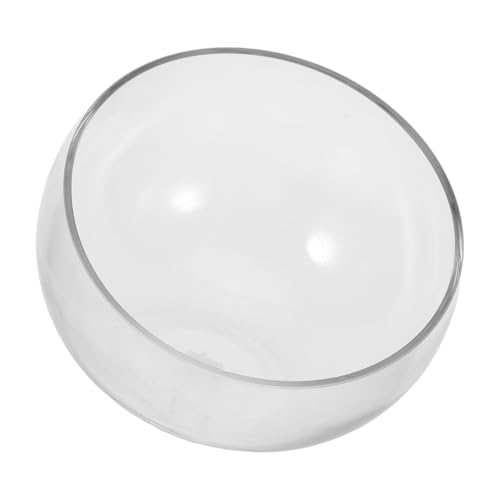 POPETPOP Hydroponische Pflanzenvase Hydroponischer Topf Hydroponischer Pflanztopf Blumenbehälter Terrarium Glasbehälter Terrarium Sukkulentenpflanzer Glasblumentopf von POPETPOP