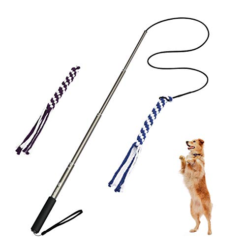 POPETPOP Interaktive Hundespielzeug Hunde Draussen Angel Kauspielzeug mit 2 Seil Hundeangel Pole Haustier Teaser für Training Übung (Größe L) von POPETPOP