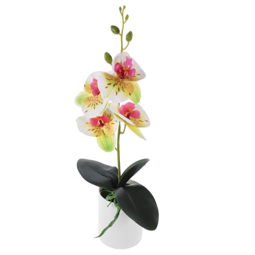 POPETPOP Künstliche Orchidee Phalaenopsis Realistisch Künstliche Blume im Keramiktopf Pflegeleichte Dekorative Kunstpflanze für Wohnzimmer Badezimmer Sideboard Farbecht Leicht Langlebig POPETPOP Künstliche Orchidee Phalaenopsis Realistisch Künstliche Blume im Keramiktopf Pflegeleichte Dekorative Kunstpflanze für Wohnzimmer Badezimmer Sideboard Farbecht Leicht Langlebig von POPETPOP