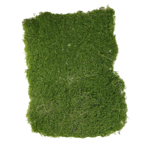 POPETPOP Künstliches Gartenrasen Für Feengärten Simuliertes Gras Für Miniaturgärten Landschaftsdekoration Und Bastelprojekte Faux Turf Für Kreative Gestaltung von POPETPOP
