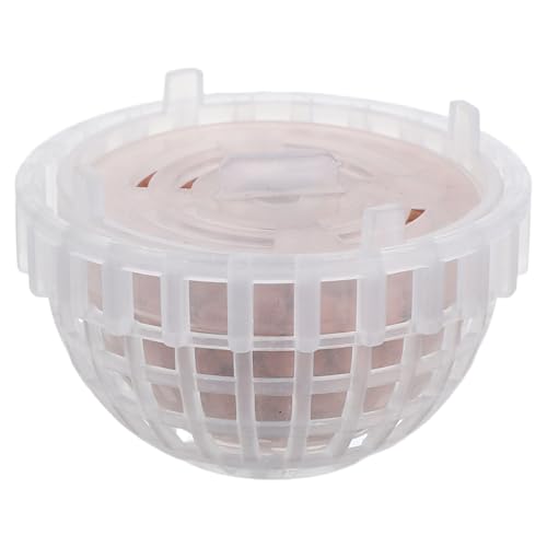 POPETPOP Aquarium Moos Halter, Aquarium Landschaftsbau Pflanzen Halter, Mooskugel-Filter mit Mineralkugeln POPETPOP Aquarium Moos Halter, Aquarium Landschaftsbau Pflanzen Halter, Mooskugel-Filter mit Mineralkugeln von POPETPOP