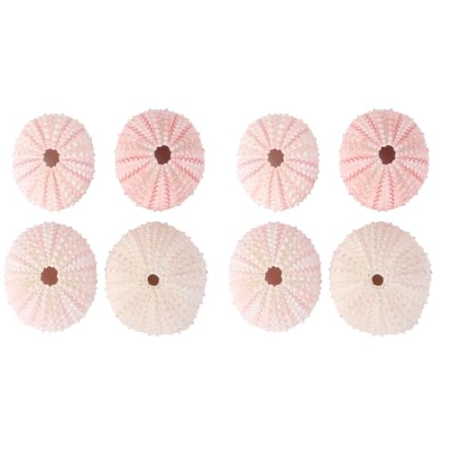 POPETPOP Seeigelschalen 8 StüCk - Echte Seeigel GehäUse FüR Dekoration - Vielseitige Ananas PflanztöPfe in Bunt 5.00 X 4.50 X 6.00 cm von POPETPOP