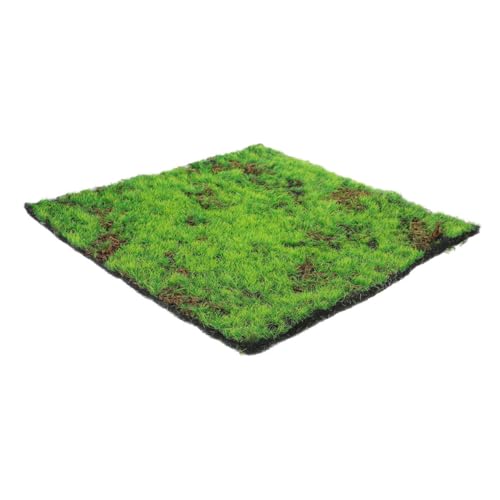 POPETPOP Simulation Moos Rasen Grasmatte selber Machen Kunstrasenfliesen Moos zum Basteln Kunstrasenmatte gefälschte Grasmatte Töpfchentrainingsdecke Hundegrasmatte Moosmatten Plastik Grün POPETPOP Simulation Moos Rasen Grasmatte selber Machen Kunstrasenfliesen Moos zum Basteln Kunstrasenmatte gefälschte Grasmatte Töpfchentrainingsdecke Hundegrasmatte Moosmatten Plastik Grün von POPETPOP