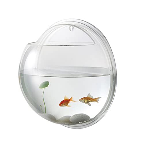 POPETPOP Wandmontiertes Fischglas – hängendes Aquarium aus Acryl, transparent, rund, Blumentopf, Vase, Dekoration mit Wasserpflanze in zufälliger Farbe, 17 x 17 x 8 cm von POPETPOP