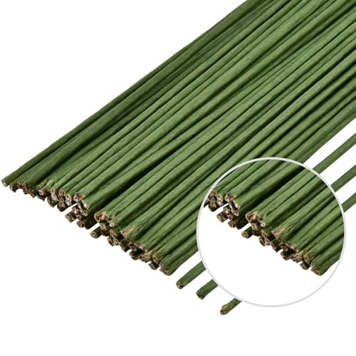 POPOYU 30 Stück Floristik Draht,Blumendraht Grün,Steckdraht Floristik,Steckdraht,Floristenbedarf,Blumenstamm Draht 18 Gauge für die Herstellung von Blumenhandwerk,künstlichen Hellgrün Basteldraht POPOYU 30 Stück Floristik Draht,Blumendraht Grün,Steckdraht Floristik,Steckdraht,Floristenbedarf,Blumenstamm Draht 18 Gauge für die Herstellung von Blumenhandwerk,künstlichen Hellgrün Basteldraht von POPOYU