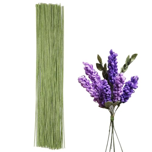 POPOYU 50 Stück Floristendraht 40 cm,1mm Blumendraht Hellgrün,Blumendraht zum Basteln,Blumen Draht,DünnesBlumendraht Floristikdraht Papierummantelt für Künstliche Blumen Hochzeit Bouquet Dekor POPOYU 50 Stück Floristendraht 40 cm,1mm Blumendraht Hellgrün,Blumendraht zum Basteln,Blumen Draht,DünnesBlumendraht Floristikdraht Papierummantelt für Künstliche Blumen Hochzeit Bouquet Dekor von POPOYU