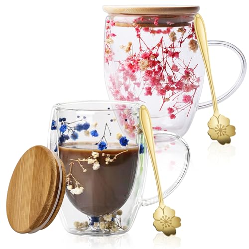 2 Stück Doppelwandige Kaffeetassen Mit Trockenblume, 350ml Doppelwandige Gläser Mit Henkel, Blumen Doppelschicht Glasbecher, Getrocknete Flower Kaffeetassen, Macchiato Gläser Mit Trockenblumen Für Tee von PORFOYO