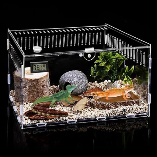 Acryl Terrarium Schnecken Terrarium mit Temperatur Hygrometer, Transparent Reptile Fütterungsbox, 30 x 20 x 15cm, Mini Terrarium Reptil Fütterungsbox für Schnecken, Spinnen, Einsiedlerkrebs Acryl Terrarium Schnecken Terrarium mit Temperatur Hygrometer, Transparent Reptile Fütterungsbox, 30 x 20 x 15cm, Mini Terrarium Reptil Fütterungsbox für Schnecken, Spinnen, Einsiedlerkrebs von PORFOYO