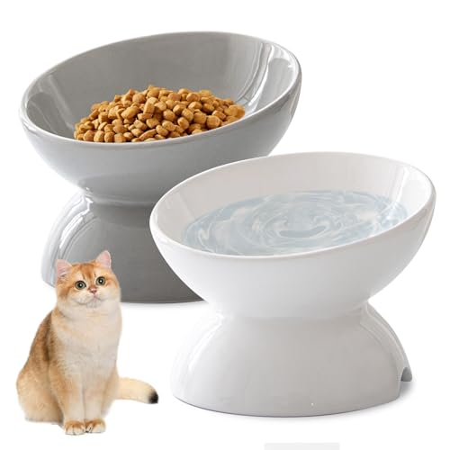 Katzennapf Erhöht - 2 Stück Futternapf Katze Erhöht, Erhöhter Katzennapf Keramik, Kipphals-Schutzschale Katzen Futternapf, Katzennäpfe Perfekt für Katzen, Welpen Kleine Hunde Katzennapf Erhöht - 2 Stück Futternapf Katze Erhöht, Erhöhter Katzennapf Keramik, Kipphals-Schutzschale Katzen Futternapf, Katzennäpfe Perfekt für Katzen, Welpen Kleine Hunde von PORFOYO