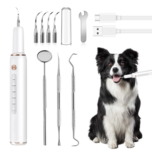PORFOYO Zahnsteinentferner Hund, Zahnreiniger Für Haustiere, Zahnreiniger Ultraschall Für Hund Und Katze Mit Led-Licht, Ultraschall Zahnsteinentferner Ipx6 Mit 2 Reinigungsköpfe, 5 Modi PORFOYO Zahnsteinentferner Hund, Zahnreiniger Für Haustiere, Zahnreiniger Ultraschall Für Hund Und Katze Mit Led-Licht, Ultraschall Zahnsteinentferner Ipx6 Mit 2 Reinigungsköpfe, 5 Modi von PORFOYO