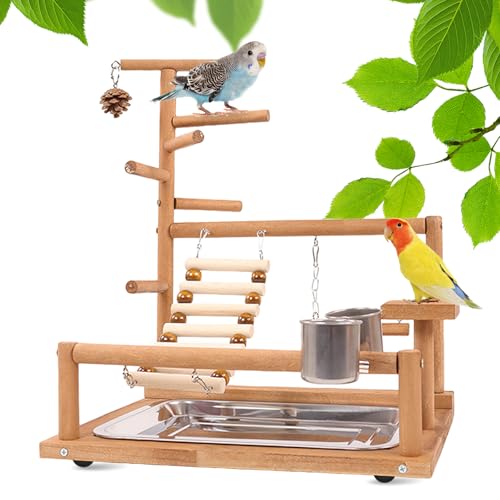 Vogelspielzeug, Papageienspielzeug, Wellensittich Spielzeug, Spielplatz Mit Feeder-Cup Spielzeug Leiter Erklimmen Schaukel Und Tablett Vogelschaukel Sitzplatz Für Sittiche Nymphensittich, 37x26x44CM Vogelspielzeug, Papageienspielzeug, Wellensittich Spielzeug, Spielplatz Mit Feeder-Cup Spielzeug Leiter Erklimmen Schaukel Und Tablett Vogelschaukel Sitzplatz Für Sittiche Nymphensittich, 37x26x44CM von PORFOYO