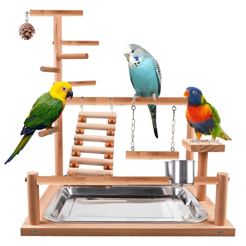 Wellensittich Spielplatz,Vogelspielplatz aus Holz,Papageienspielständer mit Feeder Cup,Spielzeug Leiter Erklimmen Schaukel und Tablett,Vogelspielzeug Spielplatz Vogel-Spielplatz,Papageienspielzeug Wellensittich Spielplatz,Vogelspielplatz aus Holz,Papageienspielständer mit Feeder Cup,Spielzeug Leiter Erklimmen Schaukel und Tablett,Vogelspielzeug Spielplatz Vogel-Spielplatz,Papageienspielzeug von PORFOYO