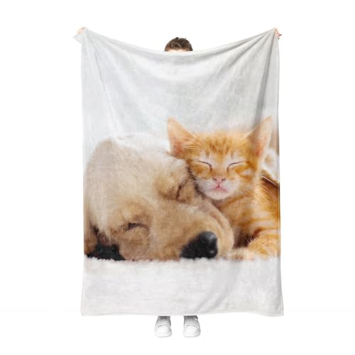 Katzen Kuscheldecke Flanell Decke Kitty-Muster Fleecedecke Flauschig Weich und Warme,3D Kitty Wohndecke Sofadecke Couchdecke Für Teens Erwachsene. (Kätzchen B, 130x150cm) von PORJDN