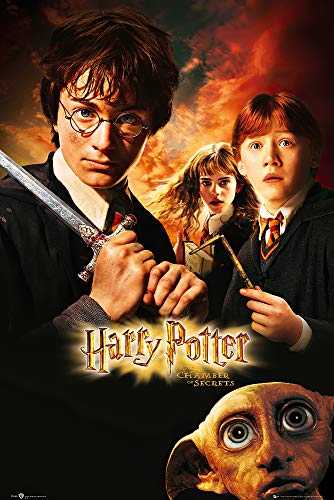 Harry Potter und die Kammer des Schreckens Poster (61cm x 91,5cm) von POSTER STOP ONLINE