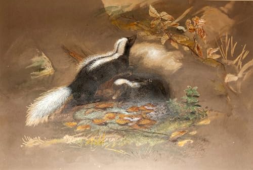 POSTERIIk Vintage Abstrakt auf Leinwand Vintage Wandbild Skunk von Wolf Tier Poster für Wohnzimmerdekoration 60x90cm von POSTERIIk