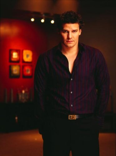 POSTERS David Boreanaz Poster 28 cm x43cm 11inx17in von POSTERS