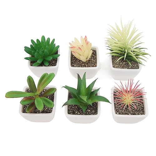 POTRUWE Set mit 6 Künstlichen Mini-Sukkulenten Im Topf, Lebensechte Simulationspflanzen, Dekorative Künstliche Sukkulenten in Töpfen, Künstliche Kunststoffpflanze für den von POTRUWE