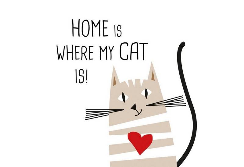 PPD Papierserviette 20 Servietten Home Cat 33x33cm, (20 St) von PPD
