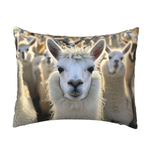 Niedlicher Lama-Druck, bequemer Kissenbezug, Schlafzimmer, Couch, Auto, Heimdekoration, vielseitig einsetzbar, einfacher Reißverschluss Niedlicher Lama-Druck, bequemer Kissenbezug, Schlafzimmer, Couch, Auto, Heimdekoration, vielseitig einsetzbar, einfacher Reißverschluss von PPHGUT