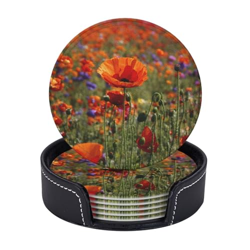Untersetzer mit Mohnblumen-Druck, leicht, tragbar, für Couchtisch, Esszimmer, Büro, Restaurant, Dekoration, 6 Stück Untersetzer mit Mohnblumen-Druck, leicht, tragbar, für Couchtisch, Esszimmer, Büro, Restaurant, Dekoration, 6 Stück von PPHGUT