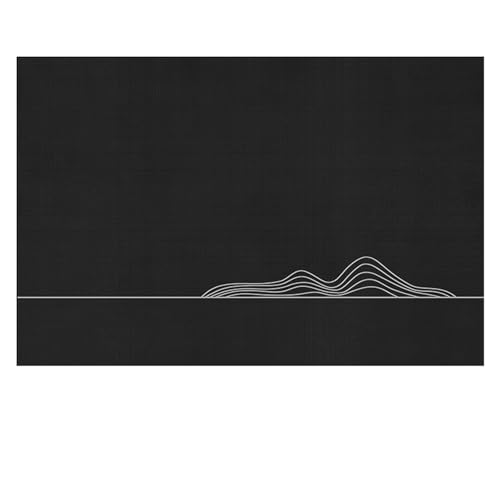 PPQIRU Kaffeemaschine Abtropfmatte 2 stücke Schnell Trocknend Geschirr Matte Küche Kaffee Ablassen Pad Tasse Flasche Tischset Saugfähigen CoffeeMats(Black,30x 40cm) von PPQIRU
