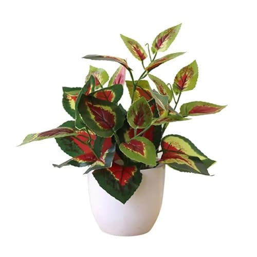 PPQIRU Künstlicher Bonsai 1PC Künstliches Laub Blumentopf Bonsai Party Mall Home Desktop Büro Dekor Kleine Bonsai Gefälschte Blume Topf Home Dekorationen(Green 1) von PPQIRU