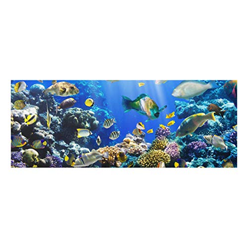 PPS. Imaging Wandbild, Kunstdruck auf Glas - Unterwasserriff - breiter Panorama-Druck auf Glas, Glasbild, Wandbild, Maße HxB: 50 x 125 cm. von PPS. Imaging