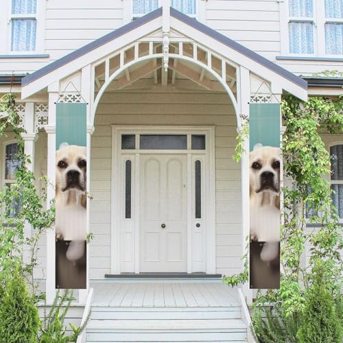 2 Stück Frühling Sommer Willkommen Veranda Banner Hängende Flagge Veranda Schild für Haustür Wand Veranda Banner Bad und Hund Willkommen Tür Hängende Banner Wand Hintergrund Urlaub Dekoration von PPTHSNVB