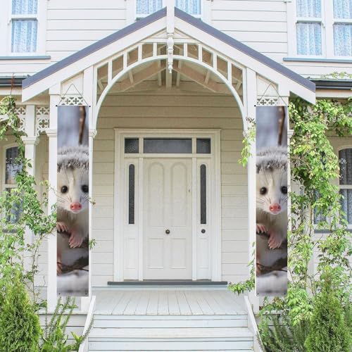 2 Stück Frühling Sommer Willkommen Veranda Banner hängende Flagge Veranda Schild für Haustür Wand Veranda Banner Opossum im Schnee Willkommen Tür hängende Banner Wand Hintergrund Urlaub Dekoration von PPTHSNVB