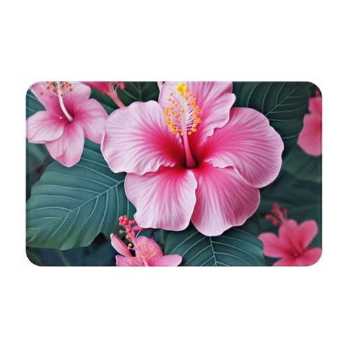 Fußmatte für den Eingangsbereich, strapazierfähig, für Eingangsbereich, Schmutzfangmatte, niedriges Profil, Hawaii-Blumen-Eingangsteppich, saugfähig, rutschfest, 50,8 x 80 cm Fußmatte für den Eingangsbereich, strapazierfähig, für Eingangsbereich, Schmutzfangmatte, niedriges Profil, Hawaii-Blumen-Eingangsteppich, saugfähig, rutschfest, 50,8 x 80 cm von PPTHSNVB
