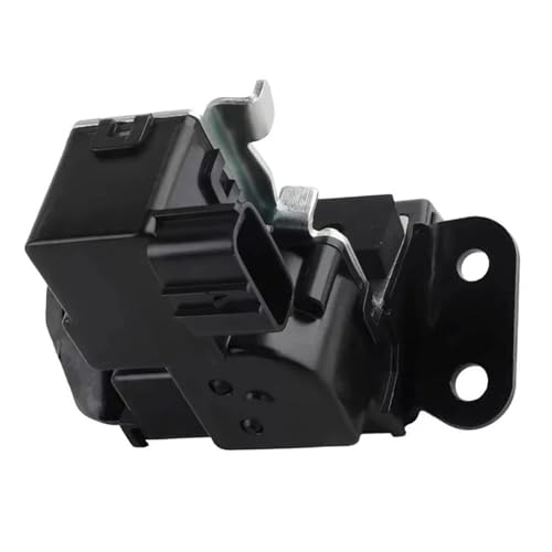 Heckklappen-Kofferraumdeckel-Kofferraumverriegelungsaktuator Für Hyundai Für Santa Für Sport 2.0L 2.4L 2013-2016 von PPXDM