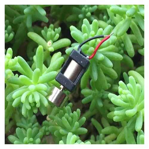 PQYSMVVG DC 1.5V-6V 3V 0408 Coreless Vibration Electronic Starter Small Vibrator 4mm*8mm for Toy Accessories PQYSMVVG DC 1.5V-6V 3V 0408 Coreless Vibration Electronic Starter Small Vibrator 4mm*8mm for Toy Accessories von PQYSMVVG