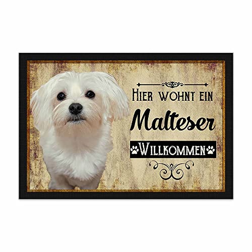 PR Print Royal Fußmatte Haustiere mit Hundebild Malteser - Geschenkidee für Hundefreunde und Hundebesitzer - Größe 60 x 40 cm von PR Print Royal