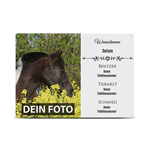 PR Print Royal Personalisiertes Boxenschild selbst gestalten mit Foto, Namen und Allen wichtigen Daten - Geschenke für Pferdeliebhaber, Stallschild aus Aluminium | Wetterfest, 21x15 cm, Weiß von PR Print Royal