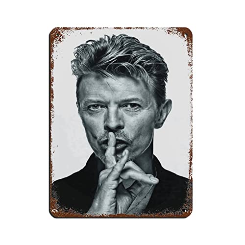 David Bowie Art Poster Album Cover Musik Poster (3) Retro Poster Metall Blechschild Chic Art Retro Eisen Malerei Bar Menschen Höhle Cafe Familie Garage Poster Wanddekoration 30 x 40 cm von PRACIM