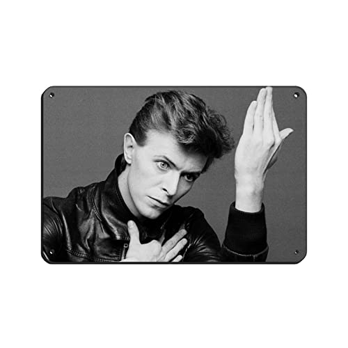 David Bowie Heroes Albumcover Musikposter (3) Blechschild Vintage Metall Pub Club Cafe Bar Home Wandkunst Dekoration Poster Retro 20 x 30 cm von PRACIM
