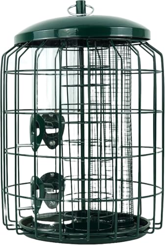 PRADICHI 3-in-1 Eichhörnchensicher Vogelfutterstation - Grün Hängefutterstation für Samen, Nüsse & Meisenknödel - Outdoor Garten & Balkon Vogelfutterstation PRADICHI 3-in-1 Eichhörnchensicher Vogelfutterstation - Grün Hängefutterstation für Samen, Nüsse & Meisenknödel - Outdoor Garten & Balkon Vogelfutterstation von PRADICHI