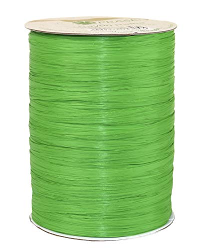 PRÄSENT C.E. Pattberg Rayon Raffia Bastband apfelgrün, 100 m Geschenkband zum Einpacken, Bastelband für Geschenke, Zubehör zum Dekorieren & Basteln von PRÄSENT