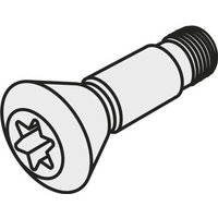Torx-Innensechskantschraube ISO CS16P Bruttogewicht 3g PRAMET von PRAMET