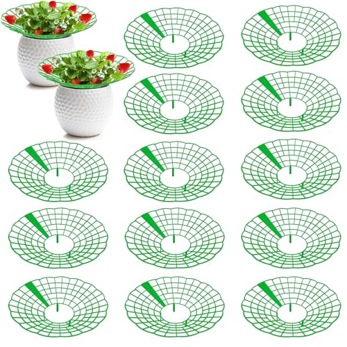 15 Stück Erdbeerstützen Ständer Erdbeerständer Erdbeerstützen Strawberry Erdbeerregal Abnehmbarer Erdbeerpflanzenständer Schneckenschutz und Schutz vor Fäulnis Schimmel 15 Stück Erdbeerstützen Ständer Erdbeerständer Erdbeerstützen Strawberry Erdbeerregal Abnehmbarer Erdbeerpflanzenständer Schneckenschutz und Schutz vor Fäulnis Schimmel von PRBUEHI