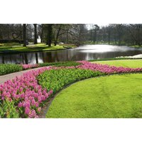 Premium Garden - Wurzelsperre für Rasenkanten 10 m x 20 cm Gartenfolien von PREMIUM GARDEN