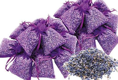 Natural Welt Lavendel Duftsäckchen 12 Beutel x8g 2 Packung Duftsäckchen Lavendel getrocknet – Mottenschutz für Kleiderschrank, Auto Duft, Raumduft – Lavendelsäckchen (2) von PREMIUM QUALITÄT NATURAL WELT