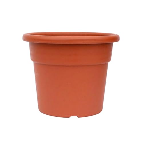 PRENDELUZ Blumentopf, klassischer Kunststoff, 25 x 20 cm, ideal für Pflanzen, leicht und robust, Schlichtes Design, passt in jeden Raum. PRENDELUZ Blumentopf, klassischer Kunststoff, 25 x 20 cm, ideal für Pflanzen, leicht und robust, Schlichtes Design, passt in jeden Raum. von PRENDELUZ
